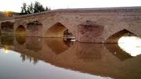 تصویر نماینده مجلس: شورای شهر آق قلا معضلی برای شهرستان شده است