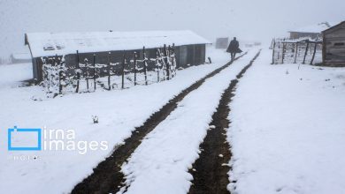 تصویر بارش برف، خوشحالی اینستاگرامی و گرفتاری گلستانی‌ها در کوهستان