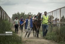 تصویر نتایج روز دوم هفته دوازدهم کورس اسبدوانی گنبد